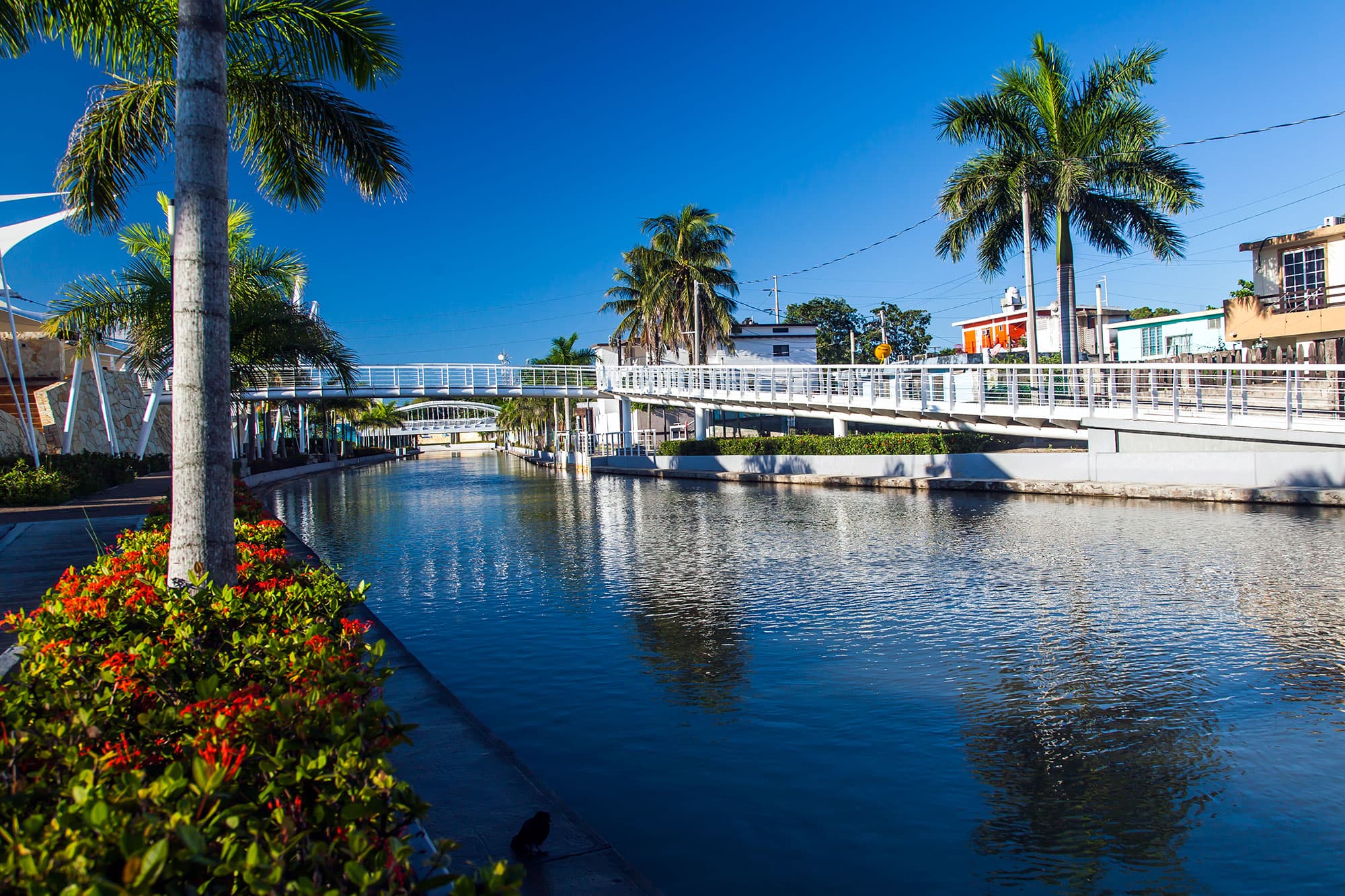 Canal de la Cortadura 1